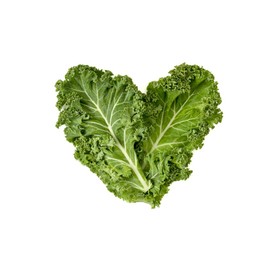 Dwarf Blue Curled Scotch Vates Kale Seeds, 750 Heirloom Seeds Per Packet, Non GMO Seeds