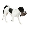 Kerbl snack dummy for dogs - Perfect learning effect for
