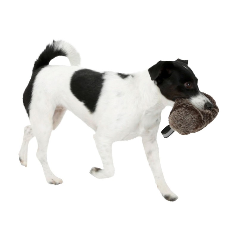 Kerbl snack dummy for dogs - Perfect learning effect for