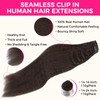 Lashey Seamless Clip in Hair Extensions Human Hair #2 Dark