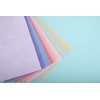 Sizzix 663022 Surfacez-Felt Sheets 10PK (10 Colours Pastels), Acrylic, 29.7