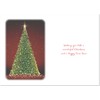 doodlecards Brother and Sister in Law Christmas Card Green Christmas