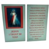 Westmon Works Divine Mercy Holy Cards Bulk Set Student Classroom