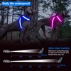 ChalkLit Light Up Dog Harness, No Pull Led Dog Harness