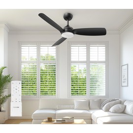 Consciot Low Profile Ceiling Fan With Light and Remote, 44 inch Modern Ceiling Fan, Downrod Mount, Reversible Quiet DC Motor, 6 Speed, 3 Color & Dimmable, 1500LM, Black