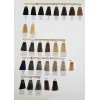 Silky Tinte Profesional 100ml Silky Cenizo Intenso
