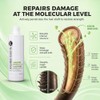 Kashmir Keratin Enriched Shampoo Sulfate Paraben Free For All Types