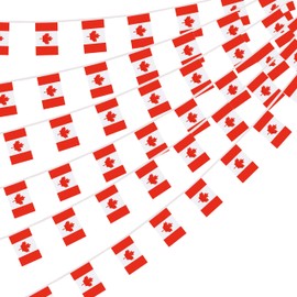 Canada Canadian String Flag Pennant Banner, Small Mini Canada Canadian Bunting Banner National Country Decoration for School, Party, Patriotic Festival, 66 Feet 60 Flags