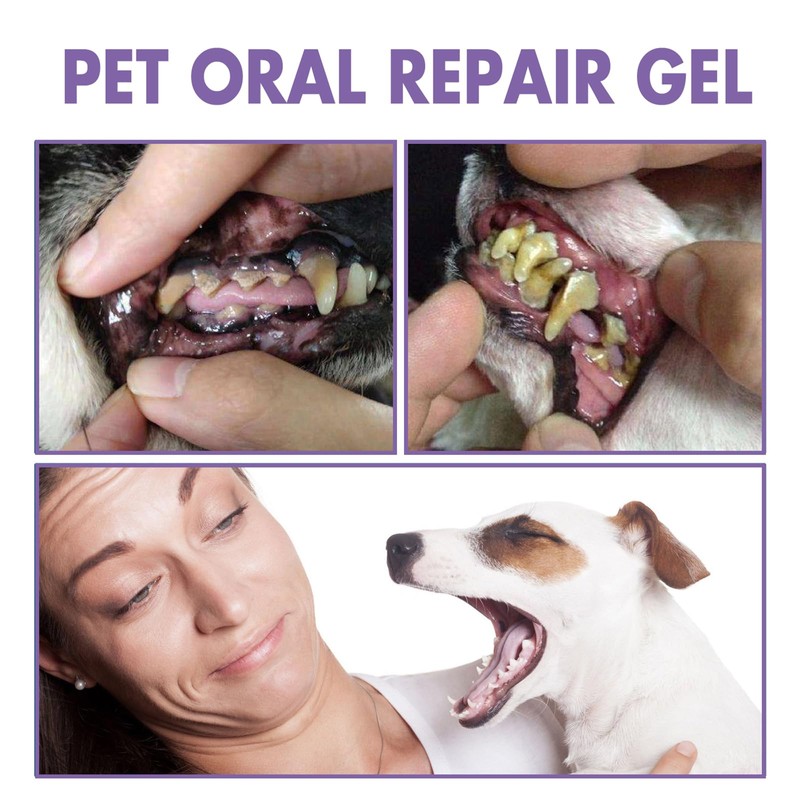 Boxiatil Pet Oral Care Gel