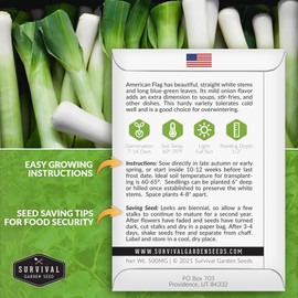 Survival Garden Seeds - Large American Flag Leek Seed for Planting - 1 Pack with Instructions to Plant and Grow Flat Leaved Blue Green Alliums in Your Home Vegetable Garden - Non-GMO Heirloom Variety