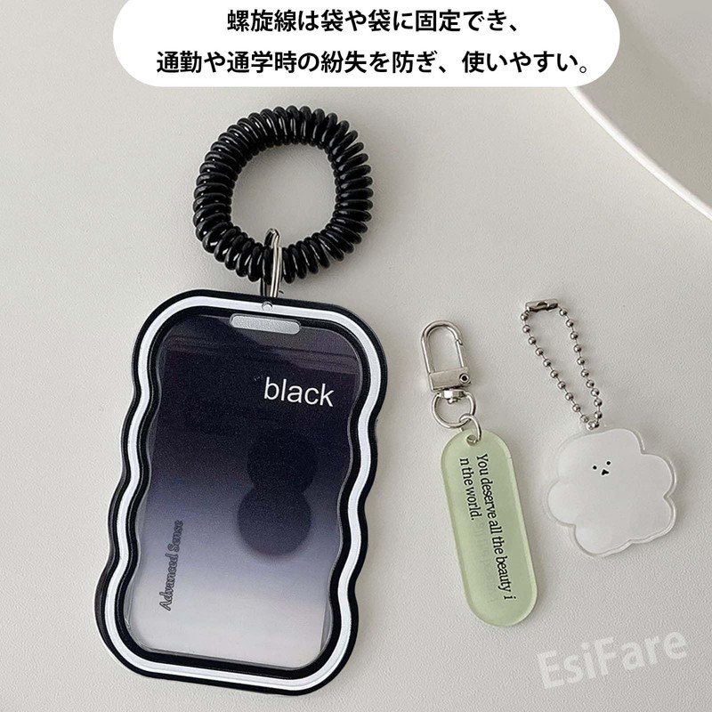 EsiFare Card Holder, Double-Sided Clear Transparent Pass Case, 2-Piece Set,