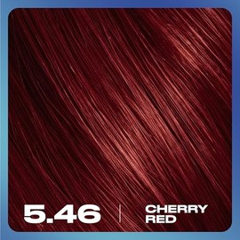 Clairol Nice N Easy Permanent Bold Zero Ammonia Hair Dye 5.46 Cherry Red