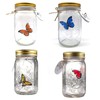 Animated Butterfly in A Jar, Xafissy Butterfly Jar That Moves