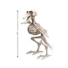 Atosa 64140 Bird Skeleton, 19 x 12 cm