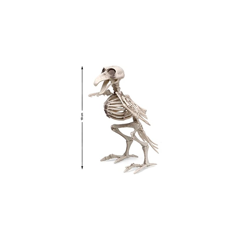Atosa 64140 Bird Skeleton, 19 x 12 cm