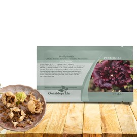 Outsidepride Double Hollyhock Seeds - 100 Pcs Perennnial Maroon Heirloom, Long-Blooming Drought Tolerant Flower Seeds with Semi-Double Blooms for Cottage Gardens & Cut Flowers