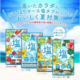 シードコムス がんばりマース 塩タブレット ソーダ 5袋 クエン酸 ビタミンC BCAA 沖縄県産黒糖 沖縄県産塩