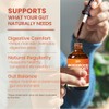 KITIVE Black Walnut Wormwood Herbal Drops: Wormwood Black Walnut Clove