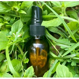 ELEMENTS PLANT BUG AWAY