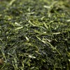 Wakoen Premium Deep Steamed Green Tea Legend (Kaoru), 2.8 oz