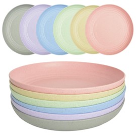 JSYMJSY Wheat Straw Deep Plate, 10" Unbreakable Plates Set of 6, Lightweight Plastic Plate Reusable for Kitchen | Party | Camping | Picnic | RV, Dishwasher & Microwave Safe, Multicolor