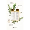 Aceite de Romero para el Cabello, Aceite de Ricino, Tratamiento
