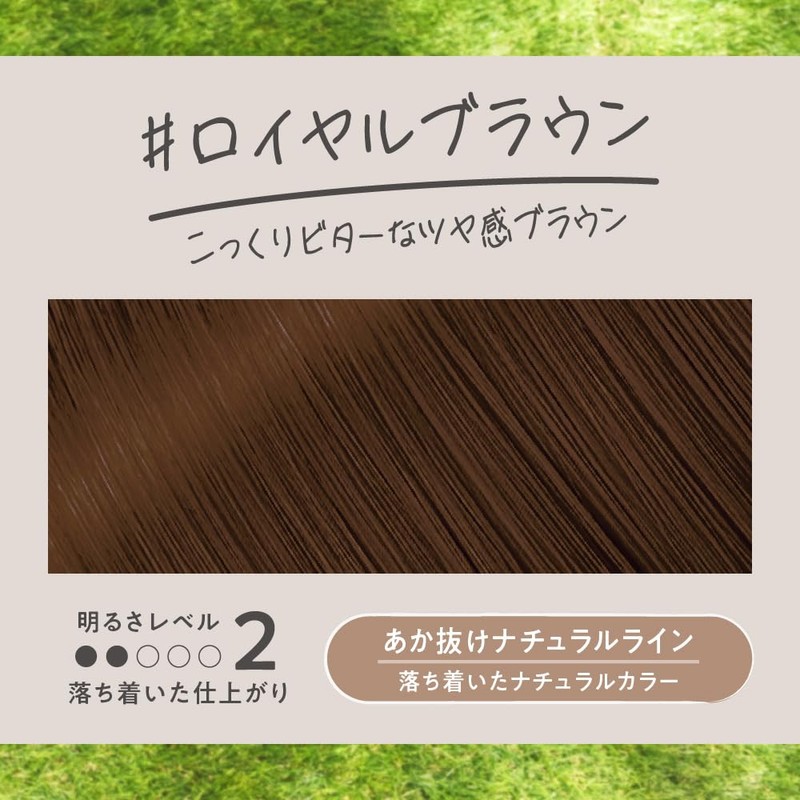 Liese Kao Bubble Hair Color - Royal Brown for Black
