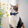 YBEATY 3 Pcs Cat Collar with Bell Breakaway Cat Collars