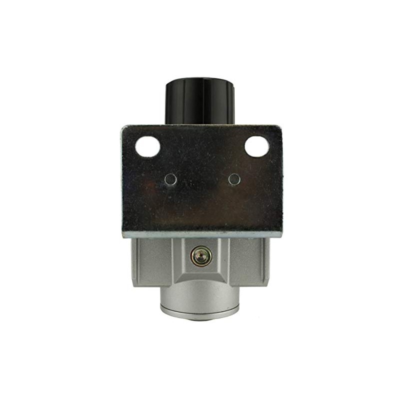 1" NPT Air Compressor Pressure Regulator with Gauge and Wall