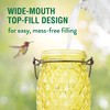 Perky-Pet 9110-2 Pineapple Top-Fill Glass Hummingbird Feeder – 28 oz