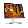 Dell P2210F Computer Desktop Tower LCD 22 Inch Monitor, VGA,