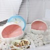 LuckyOpt Ceramic Hamster Hideout, Cute Shell-Shaped Small Animal Habitat, Large