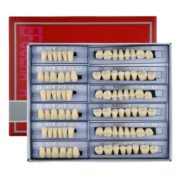 168 Pcs Dental Synthetic Resin Tooth Denture 3 Sets False Teeth 23 A3 Upper Lower Shade Dental for Halloween Horror Teeth