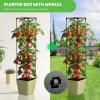 Docred Tomato Planter Boxes with Trellis Wheel 63" Self-Watering Tomato