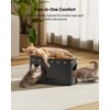 DownyPaws Cat House for Indoor Cats, Cat Bed Cave for