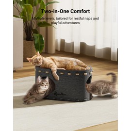 DownyPaws Cat House for Indoor Cats, Cat Bed Cave for Multiple & Large Cats Up to 22 Lbs, Scratch Resistant Peekaboo Cat Caves, Foldable Cat Tunnel Enclosed Bed, PeekaPurr, Sesame Gray