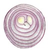 Onion RED Creole Great Heirloom Vegetable by Seed Kingdom Bulk