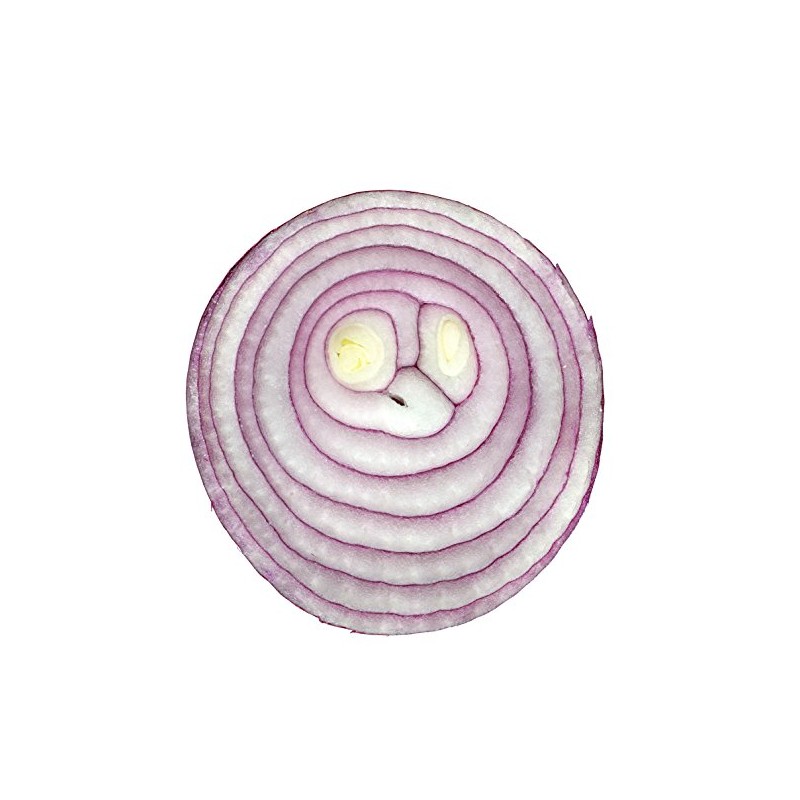 Onion RED Creole Great Heirloom Vegetable by Seed Kingdom Bulk