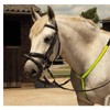 Harlequin Horse Riding Reflective Breastplate Hi-Vis Safe Adjustable Martingale