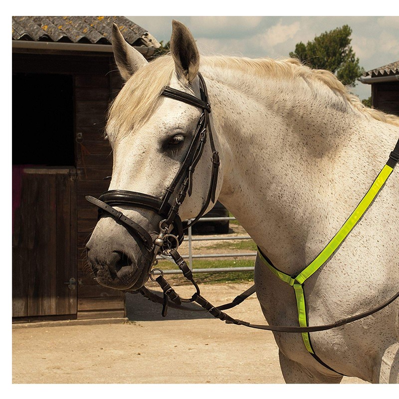 Harlequin Horse Riding Reflective Breastplate Hi-Vis Safe Adjustable Martingale