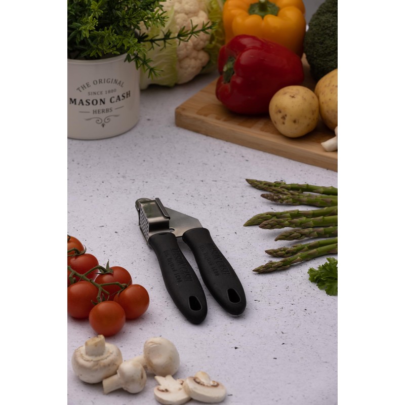Mason Cash Essentials Stainless Steel Garlic Press