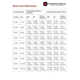 Sterling Seal & Supply, Inc. (STCC) 1" Encapsulated Kamlock™ Gasket, FEP Silicone, Red (Pack of 10)