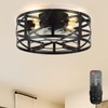 Conciseer 16 Inch Caged Ceiling Fans with Lights and Remote,