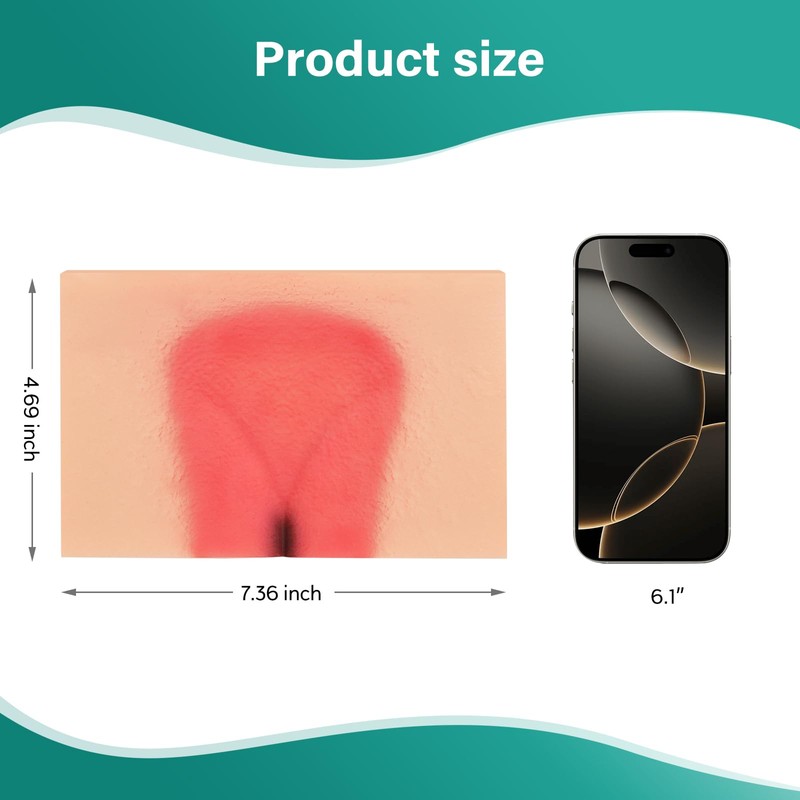 MedEduQuest Decubitus Ulcer Wound Care Model, Bedsores Model, Pressure Injury