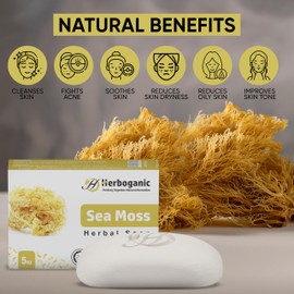 HERBOGANIC Sea Moss Herbal Soap | Natural Bar Soap for Moisturizing and Healthy Skin | Infused with Sea Moss | Gentle for Men and Women | 5 Oz (Pack of 1