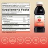 Dynamic Health Pomegranate Juice Concentrate, Natural Antioxidants and Polyphenols, No