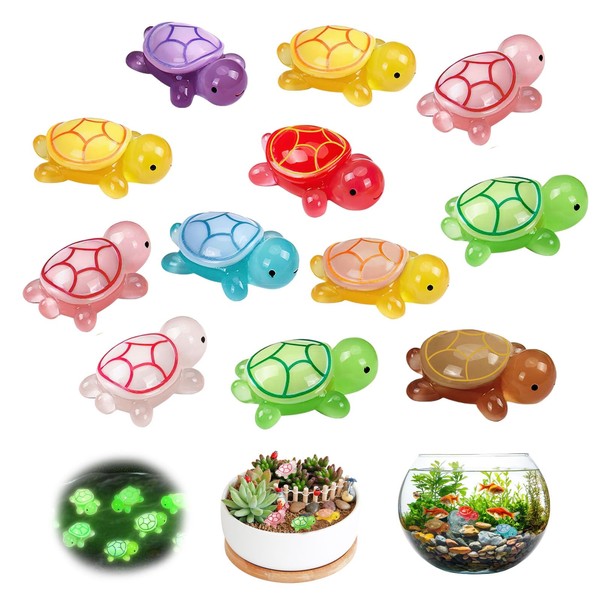 Rbleote Mini Turtles, 12 Pieces Colourful Mini Turtles, Small Turtles