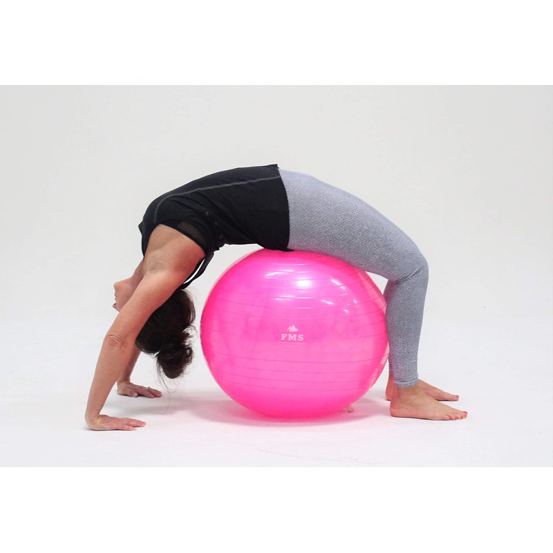 FIMISU 65cm Fitness Stability Ball • Yoga Balance Ball •