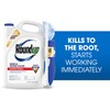 Roundup Weed & Grass Killer₄ with Sure Shot Wand, Use