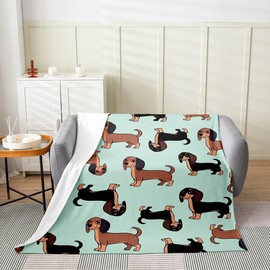 Feelyou - Manta de forro polar para perro salchicha de 50 x 60 pulgadas, manta de franela para niños, cachorros, perros, para sofá, niños, niñas, adolescentes, verde té para todas las estaciones